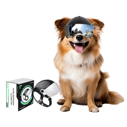 NAMSAN Motorrad Hundehelm mit Anti-UV Schutzbrille Fahrradhelm für Kleine Hunde mit Visier (ohne Nieten), Silberne Linsen von Namsan