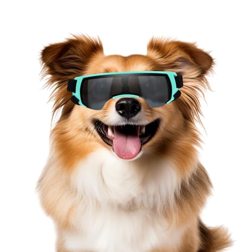 NAMSAN Sonnenbrille für Kleine Hunde Schutzbrille für Kleine Hunde Winddichte UV-Schutz Wasserdicht Hundebrille Welpen mit Einstellbar Gummiband-Blau von Namsan