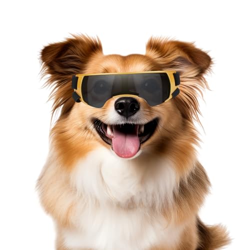 NAMSAN Sonnenbrille für Kleine Hunde Schutzbrille für Kleine Hunde Winddichte UV-Schutz Wasserdicht Hundebrille Welpen mit Einstellbar Gummiband-Golden von Namsan