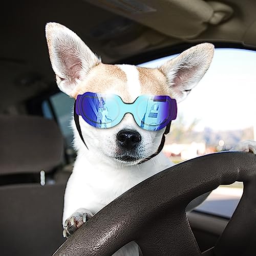 NAMSAN Sonnenbrille für kleine Hunde, UV-Schutz, verstellbar, leicht zu tragen, winddicht, Motorrad-Welpenbrille (Hellblau) von Namsan