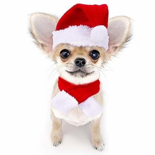 NANSAM Hunde-Weihnachtsmütze und Schal, Weihnachtsset 2 Stück, verstellbares Haustier-Set für Kätzchen und Welpen - Rot von Namsan