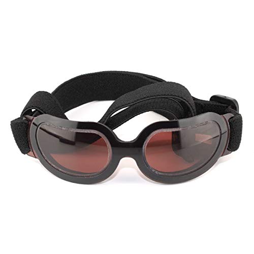 Namsan Hundebrille Mode Katzen-Brille UV Schutzbrille für Hunde Wasserdicht Winddicht Hundesonnenbrille Schutz für Kleine Hunde und Katzen von Namsan