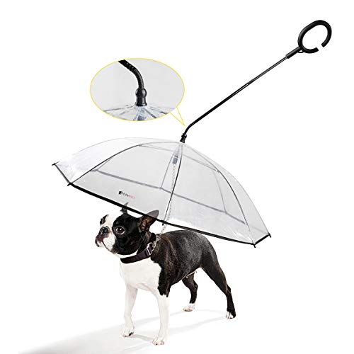 Namsan Hunde Regenschirm mit Leine Hunde Regenjacke für Spaziergänge im Freien bei Schnee oder Regen von Namsan