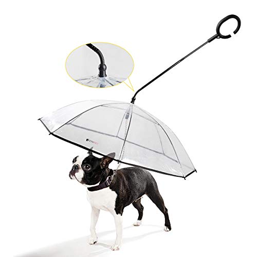 Namsan Hunde Regenschirm mit Leine Hunde Regenjacke für Spaziergänge im Freien bei Schnee oder Regen Namsan Hunde Regenschirm mit Leine Hunde Regenjacke für Spaziergänge im Freien bei Schnee oder Regen von Namsan