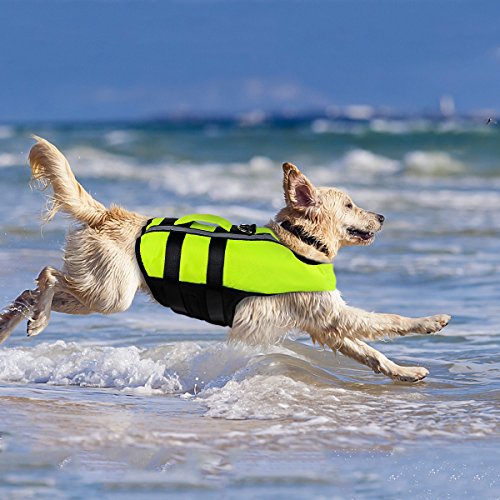 NAMSAN Hundeschwimmwesten Schwimmweste für Hund Tragbar Aufblasbar Rettungswesten für Kleine/Mitte/Groß Hunde, Grün-L von Namsan