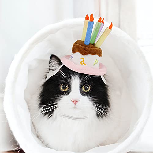 Namsan Katzen-Geburtstagshut für kleine Hunde, Geburtstagstorte, Partyzubehör, klein von Namsan
