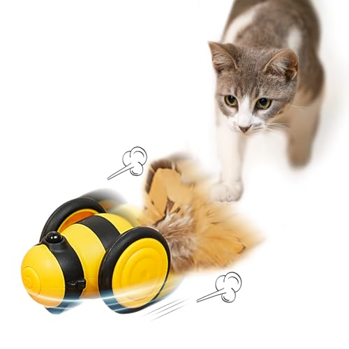 Namsan Katzenspielzeug Elektrisch mit Feder und LED-Lichtern Interaktives Katzenspielzeug Type-C Aufladbar Katzenspielzeug Selbstbeschäftigung Pfotenjagd Katzenspielzeug Namsan Katzenspielzeug Elektrisch mit Feder und LED-Lichtern Interaktives Katzenspielzeug Type-C Aufladbar Katzenspielzeug Selbstbeschäftigung Pfotenjagd Katzenspielzeug von Namsan