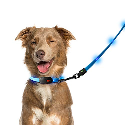 NAMSAN LED Hundeleine mit LED Hundehalsband USB Aufladbar Wasserdicht Sicherheit Hundehalsband-Leine für Hunde, 3 Leuchtmodi 20 Leuchtet (Blau) von Namsan