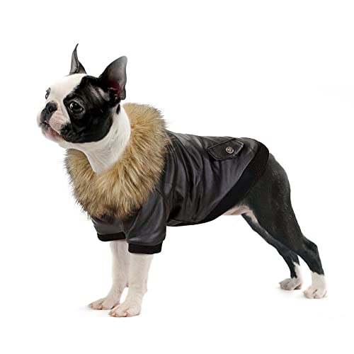 Namsan Leder Hundemantel - Geeignet für Kleine bis Mittelgroße Hund Winter wasserdichte Hundemantel Schwarz, L von Namsan