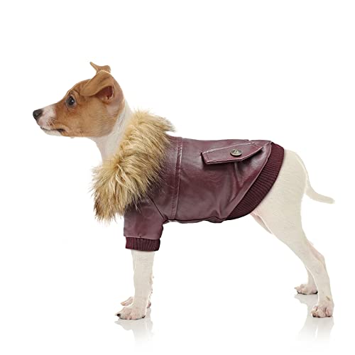 Namsan Hundemantel Hunde Jacken für Winter Warm Leder Hunde Winterjacke Wasserdicht Hundemantel für Kleine Hunde-L von Namsan