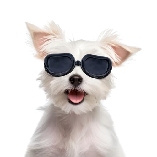 NAMSAN Sonnenbrillen für Hunde UV Schutzbrille Wasserdichter Einstellbar Hundebrille für Kleine Hunde/Katzen -Schwarz NAMSAN Sonnenbrillen für Hunde UV Schutzbrille Wasserdichter Einstellbar Hundebrille für Kleine Hunde/Katzen -Schwarz von Namsan