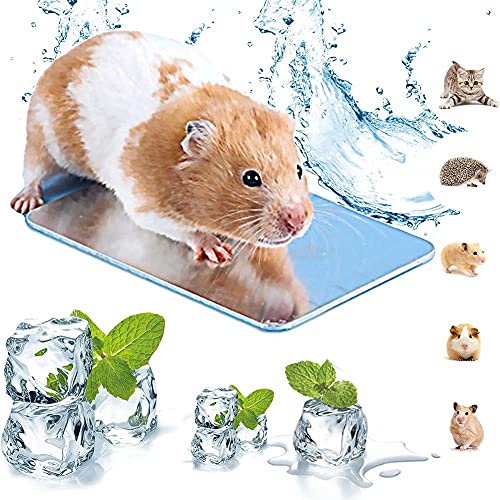 Namvo Kühlmatte für den Sommer, für Hamstermatte, Eisbett, für kleine Haustiere, Hamster, Meerschweinchen, Kätzchen, 12 x 8 cm Namvo Kühlmatte für den Sommer, für Hamstermatte, Eisbett, für kleine Haustiere, Hamster, Meerschweinchen, Kätzchen, 12 x 8 cm von Namvo