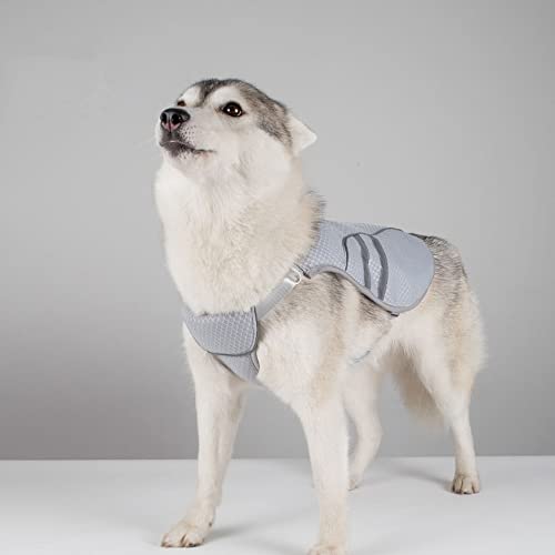 Namvo Kühlweste für Hunde, Hundekühljacke, Kühlgeschirr, Mantel, atmungsaktives Mesh für Welpen und Hunde von Namvo