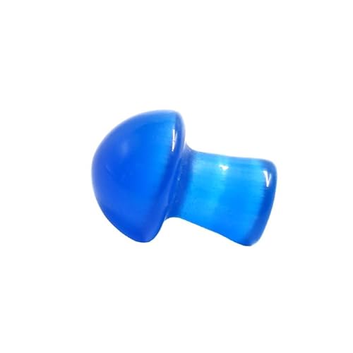 Namzi 10 Stück natürliche Kristall-Pilz-Ornamente, Mini, 2 x 1,5 cm, kleiner Pilzschatz, blauer Kristallstein, Handwerk, Desktop-Ornament, Dekoration Namzi 10 Stück natürliche Kristall-Pilz-Ornamente, Mini, 2 x 1,5 cm, kleiner Pilzschatz, blauer Kristallstein, Handwerk, Desktop-Ornament, Dekoration von Namzi