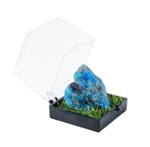 Namzi 2 Stück blaue natürliche Kristall-Rohstein-Mining-Etiketten-Box, Ornament, Kristall-Rohstein, Kinder, Bergbau, Wissenschaft, Popularisierung, Lehrgeschenk, Ornament Namzi 2 Stück blaue natürliche Kristall-Rohstein-Mining-Etiketten-Box, Ornament, Kristall-Rohstein, Kinder, Bergbau, Wissenschaft, Popularisierung, Lehrgeschenk, Ornament von Namzi