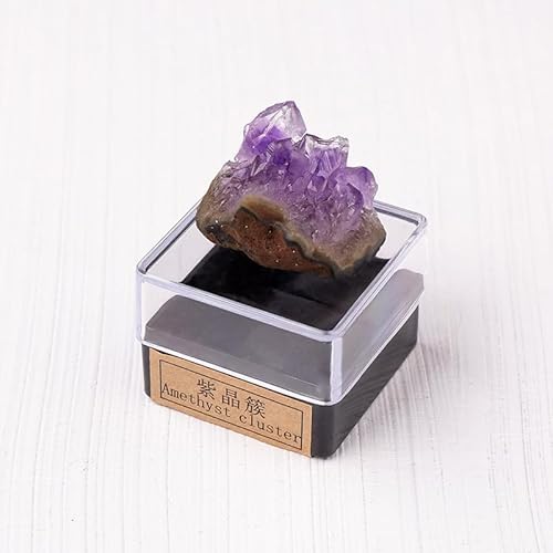 Namzi 2 Stück lila Naturkristall Rohstein Erz Exemplare Set Kristall Mineral Kinder Wissenschaft Popularisierung Lehre Geschenk Ornament Namzi 2 Stück lila Naturkristall Rohstein Erz Exemplare Set Kristall Mineral Kinder Wissenschaft Popularisierung Lehre Geschenk Ornament von Namzi