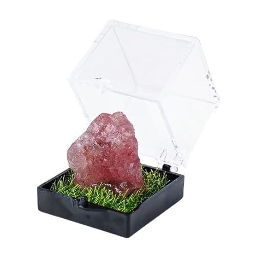 Namzi 2 Stück rosa natürliche Kristall-Rohstein-Mining-Etiketten-Box, Ornament, Kristall-Rohstein, Kinder, Bergbau, Wissenschaft, Popularisierung, Lehrgeschenk, Ornament Namzi 2 Stück rosa natürliche Kristall-Rohstein-Mining-Etiketten-Box, Ornament, Kristall-Rohstein, Kinder, Bergbau, Wissenschaft, Popularisierung, Lehrgeschenk, Ornament von Namzi