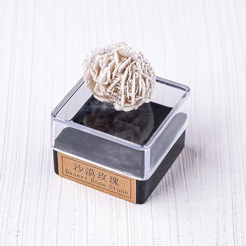 Namzi 2 Stück weißes Naturrohstein-Erzproben-Set, Kristall-Mineral für Kinder, Wissenschaft, Popularisierung, Lehrgeschenk, Ornament Namzi 2 Stück weißes Naturrohstein-Erzproben-Set, Kristall-Mineral für Kinder, Wissenschaft, Popularisierung, Lehrgeschenk, Ornament von Namzi