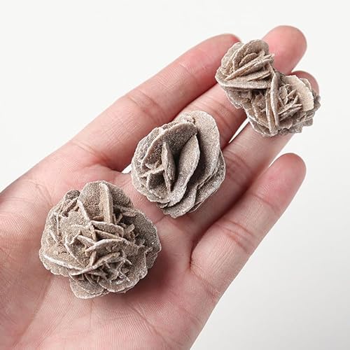 Namzi 4 Stück braune Natursteine, 3–4 cm, Wüstenrose, Rohstein, Mineralstein-Kollektion, Aquarium, Heimdekoration, Ornamente Namzi 4 Stück braune Natursteine, 3–4 cm, Wüstenrose, Rohstein, Mineralstein-Kollektion, Aquarium, Heimdekoration, Ornamente von Namzi