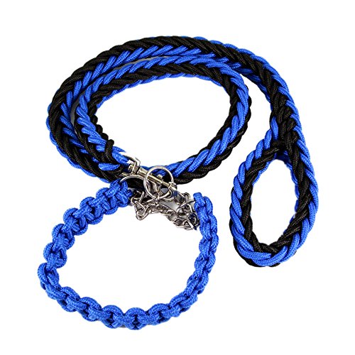 Namzi ColorPet Martingale Retrieverleine Halsband Bär Obst Hundeleine für mittelgroße und große Hunde, Größe M, Schwarz / Blau Namzi ColorPet Martingale Retrieverleine Halsband Bär Obst Hundeleine für mittelgroße und große Hunde, Größe M, Schwarz / Blau von Namzi