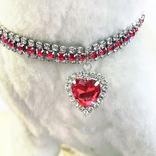 Namzi Haustier-Dekoration, Halsband, Halskette, Katzen- und Hundezubehör, Dekoration, verstellbar, für Welpen, Hunde, Katzen, Haustierpflege-Zubehör, M, Rot Namzi Haustier-Dekoration, Halsband, Halskette, Katzen- und Hundezubehör, Dekoration, verstellbar, für Welpen, Hunde, Katzen, Haustierpflege-Zubehör, M, Rot von Namzi