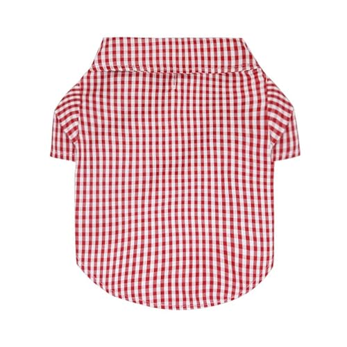 Namzi Hunde- und Katzen-T-Shirt, atmungsaktives Haustier-Shirt, Welpen-Sweatshirt, Hundekleidung, Outfit, Bekleidung, Mäntel für kleine, mittelgroße Hunde und Katzen, L, A21 Namzi Hunde- und Katzen-T-Shirt, atmungsaktives Haustier-Shirt, Welpen-Sweatshirt, Hundekleidung, Outfit, Bekleidung, Mäntel für kleine, mittelgroße Hunde und Katzen, L, A21 von Namzi