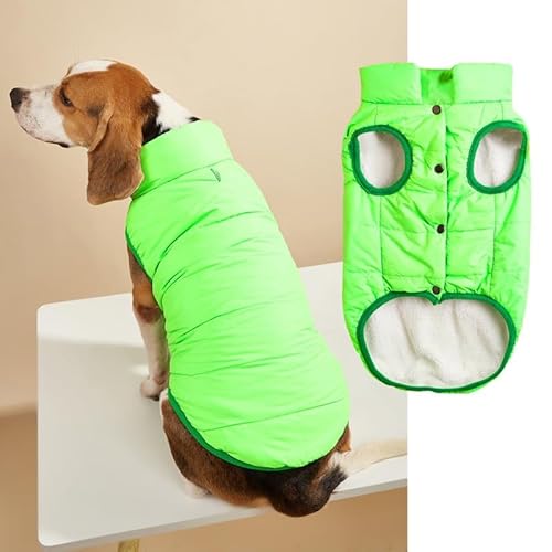Namzi Winddichte Hunde-Winterjacke, Hundemantel, warme Hundeweste, kaltes Wetter, Haustierbekleidung mit 2 Schichten mit Fleece gefüttert für kleine, mittelgroße und große Hunde (Größe L, Grün) Namzi Winddichte Hunde-Winterjacke, Hundemantel, warme Hundeweste, kaltes Wetter, Haustierbekleidung mit 2 Schichten mit Fleece gefüttert für kleine, mittelgroße und große Hunde (Größe L, Grün) von Namzi
