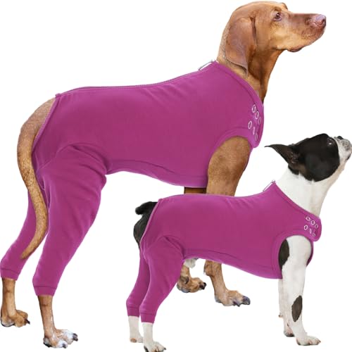Nanaki Hunde-Wundpflege-Shirt, Beinmanschette, um das Lecken von Hinterbeinen und Bauch zu stoppen, Hunde-OP-Anzug, weiblicher Einteiler für Operationen, chirurgische Genesungsanzug Nanaki Hunde-Wundpflege-Shirt, Beinmanschette, um das Lecken von Hinterbeinen und Bauch zu stoppen, Hunde-OP-Anzug, weiblicher Einteiler für Operationen, chirurgische Genesungsanzug von Nanaki