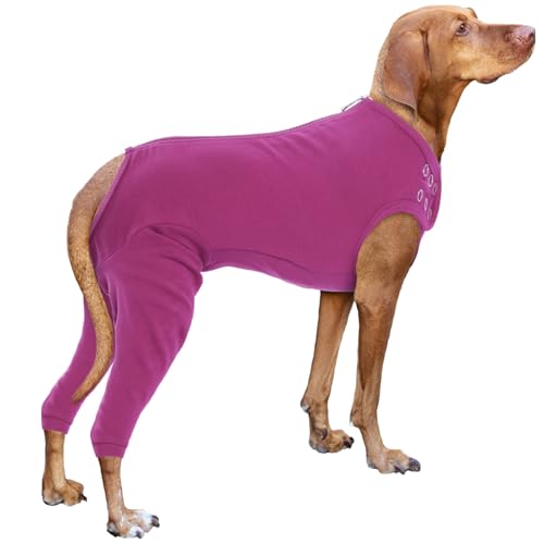Nanaki Hunde-Wundpflege-Shirt, Beinmanschette gegen Lecken, Operationsanzug, Einteiler für Männer und Frauen, chirurgischer Genesungsanzug, Wundheilungskleidung Nanaki Hunde-Wundpflege-Shirt, Beinmanschette gegen Lecken, Operationsanzug, Einteiler für Männer und Frauen, chirurgischer Genesungsanzug, Wundheilungskleidung von Nanaki