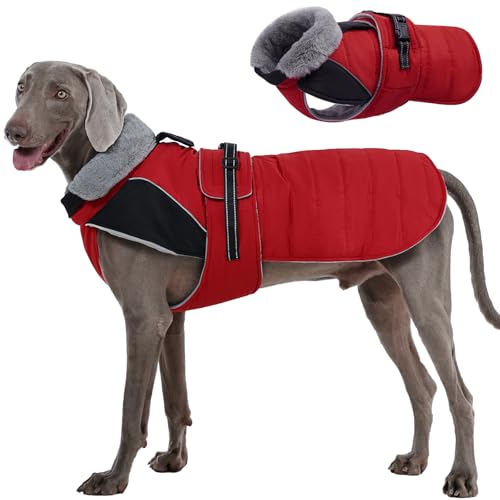 Nanaki Hundemantel für große Hunde, wasserdicht, warmes Fleecefutter, Pelzkragen, große Hundejacke mit Loch für die Leine, reflektierend, für kaltes Wetter, Haustierjacke, Outdoor, Spaziergänge, Jagd Nanaki Hundemantel für große Hunde, wasserdicht, warmes Fleecefutter, Pelzkragen, große Hundejacke mit Loch für die Leine, reflektierend, für kaltes Wetter, Haustierjacke, Outdoor, Spaziergänge, Jagd von Nanaki
