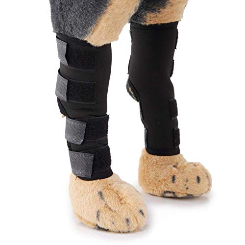 Sprunggelenk Schutz Bandage, Knee Brace Support for Dogs Kniebandage für Hunde, Knieschützer für Haustiere Hüftbandage für Hunde Beinbandage für Sprunggelenk-Arthrose-Sehne (S) von Nannigr