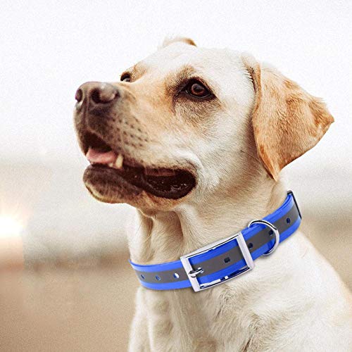 Nannigr Wasserdichtes Halsband, reflektierendes Hundehalsband mit reflektierender Funktion für kleine mittelgroße Hunde reflektierendes Nylon-Hundehalsband(Blau) von Nannigr
