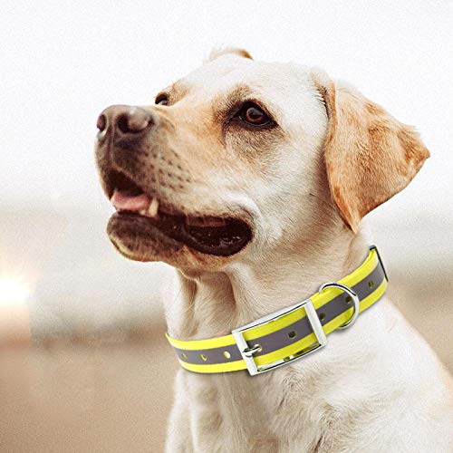 Nannigr Wasserdichtes Halsband, reflektierendes Hundehalsband mit reflektierender Funktion für kleine mittelgroße Hunde reflektierendes Nylon-Hundehalsband(Gelb) von Nannigr