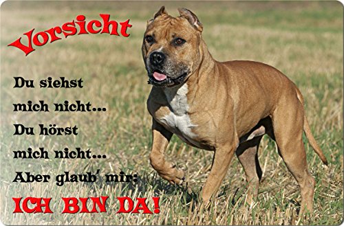 +++ American STAFFORDSHIRE Terrier - Metall WARNSCHILD Schild Hundeschild Sign - AST 03 T2 von Nanyuk
