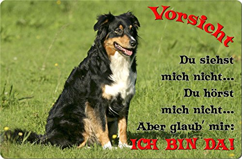 +++ Australian SHEPHERD - Metall WARNSCHILD Schild Hundeschild Sign - ASD 17 T2 von Nanyuk