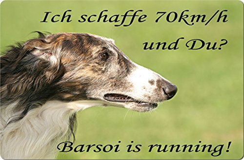 Nanyuk +++ BARSOI Barzaia Borzoi - Metall Warnschild Schild Hundeschild Sign - BRS 01 T14 von Nanyuk