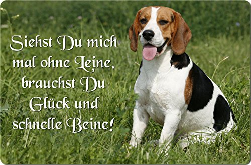 Nanyuk +++ Beagle - Metall Warnschild Schild Hundeschild Sign - BGL 16 T12 von Nanyuk