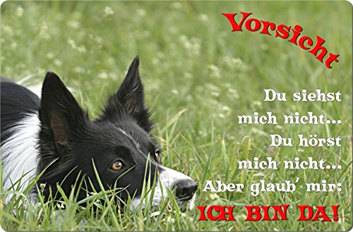 +++ BORDER COLLIE - Metall WARNSCHILD Schild Hundeschild Sign - BOC 17 T2 von Nanyuk