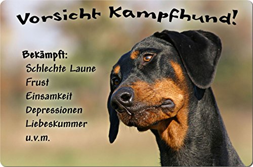 +++ DOBERMANN - Metall WARNSCHILD Schild Hundeschild Sign - DBM 23 T13 von Nanyuk