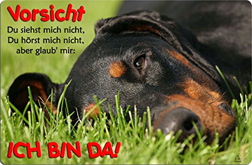 +++ DOBERMANN - Metall WARNSCHILD Schild Hundeschild Sign - DBM 34 T2 von Nanyuk