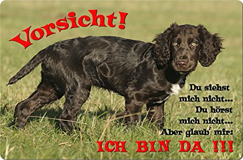 Nanyuk +++ Deutscher Wachtelhund - Metall Warnschild Schild Hundeschild Sign - DWH 02 T2 von Nanyuk