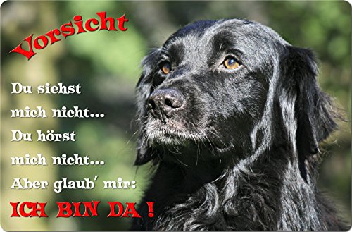 Nanyuk +++ Flat Coated Retriever - Metall Warnschild Schild Hundeschild Sign - FCR 01 T2 Nanyuk +++ Flat Coated Retriever - Metall Warnschild Schild Hundeschild Sign - FCR 01 T2 von Nanyuk