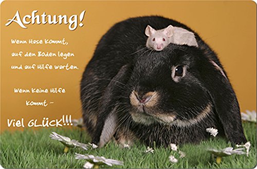 +++ KANINCHEN Hase Zwergkaninchen - METALL WARNSCHILD SCHILD TÜRSCHILD SIGN - KAN 03 von Nanyuk