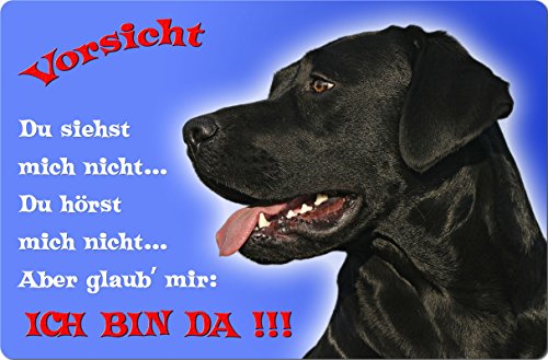 +++ LABRADOR Retriever - Metall WARNSCHILD Schild Hundeschild Sign - LAB 20 T2 S von Nanyuk