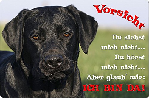 Nanyuk +++ Labrador Retriever - Metall Warnschild Schild Hundeschild Sign - LAB 57 T2 S von Nanyuk