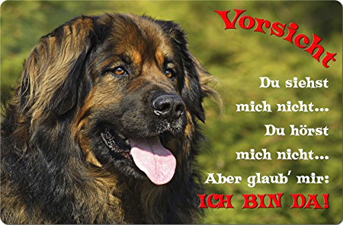 Nanyuk +++ Leonberger - Metall Warnschild Schild Hundeschild Sign - Leo 10 T2 von Nanyuk