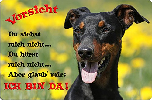 Nanyuk +++ Deutscher Pinscher - Metall Warnschild Schild Hundeschild Sign - DPI 02 T2 von Nanyuk