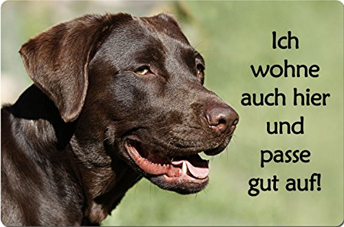 Nanyuk +++ Labrador Retriever - Metall Warnschild Schild Hundeschild Sign - LAB 62 Bra von Nanyuk