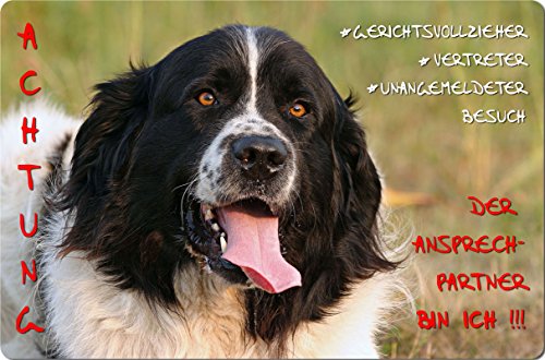 Nanyuk +++ Landseer - Metall Warnschild Schild Hundeschild Sign - LDS 01 T10 Nanyuk +++ Landseer - Metall Warnschild Schild Hundeschild Sign - LDS 01 T10 von Nanyuk