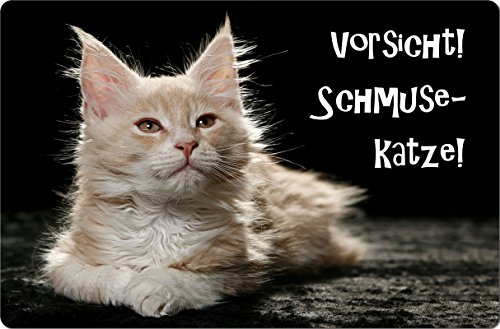 Nanyuk +++ Maine Coon Katze - Metall Warnschild Schild KATZENSCHILD Sign - MAC 06 von Nanyuk